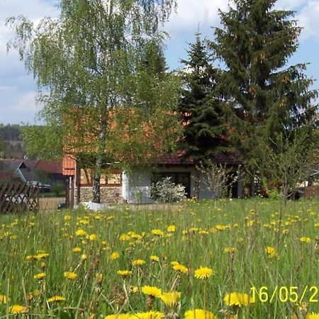 Ferienhaus Harz Villa Allrode Exterior photo