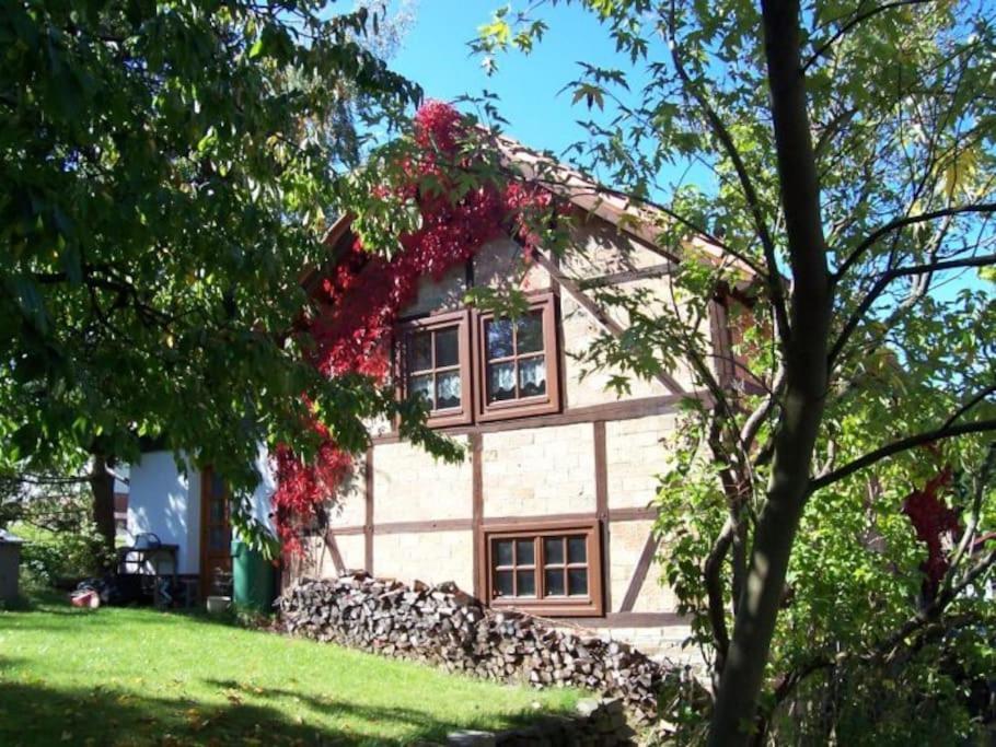 Ferienhaus Harz Villa Allrode Exterior photo